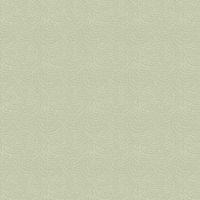 dsSTELLA-FRR2293 Fern